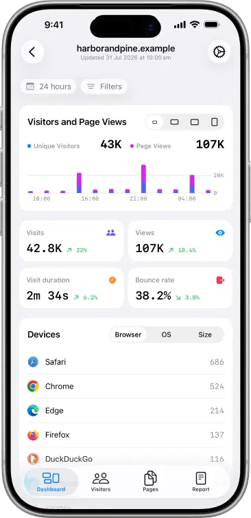 Seliq compact dashboard summarising traffic trends, key metrics and browser analytics.