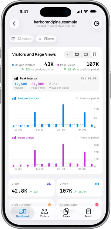 Seliq extended dashboard showing detailed traffic charts, key metrics and browser analytics.
